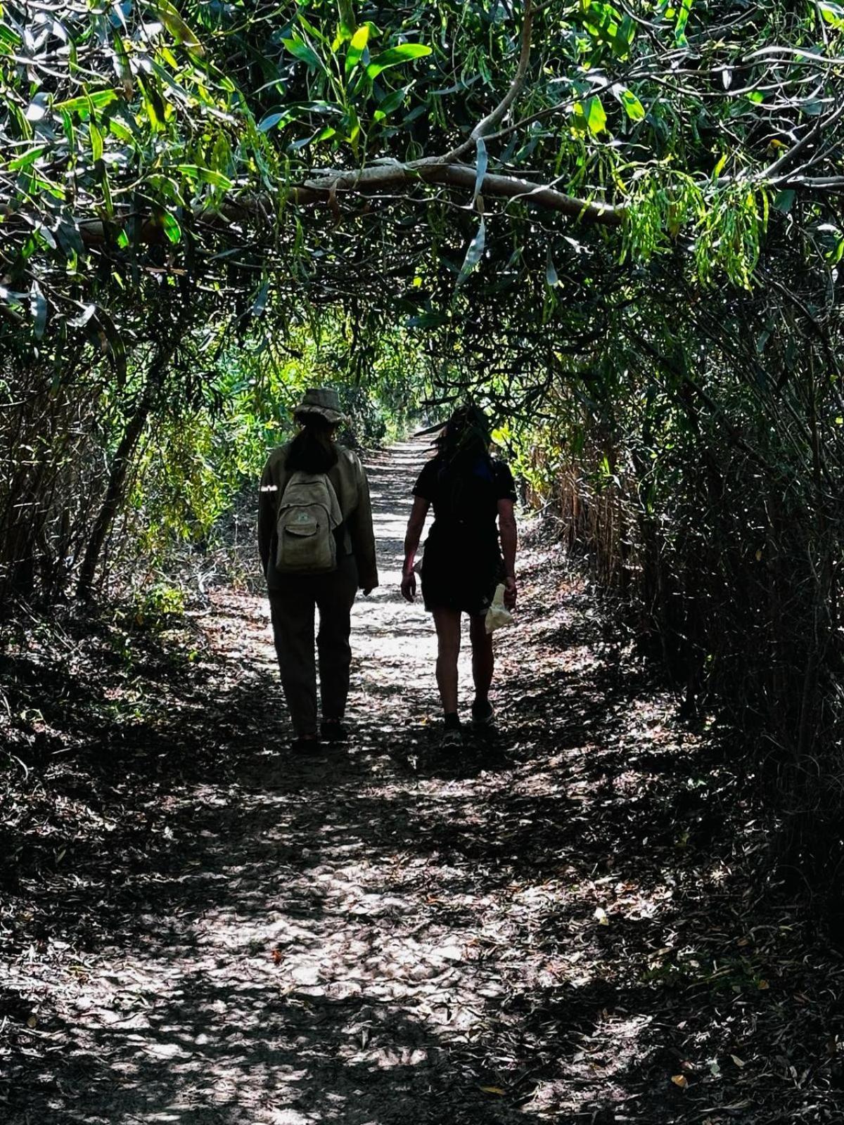Choeiro Verde - Casa De Campo Na Costa Vicentina Brejao Экстерьер фото