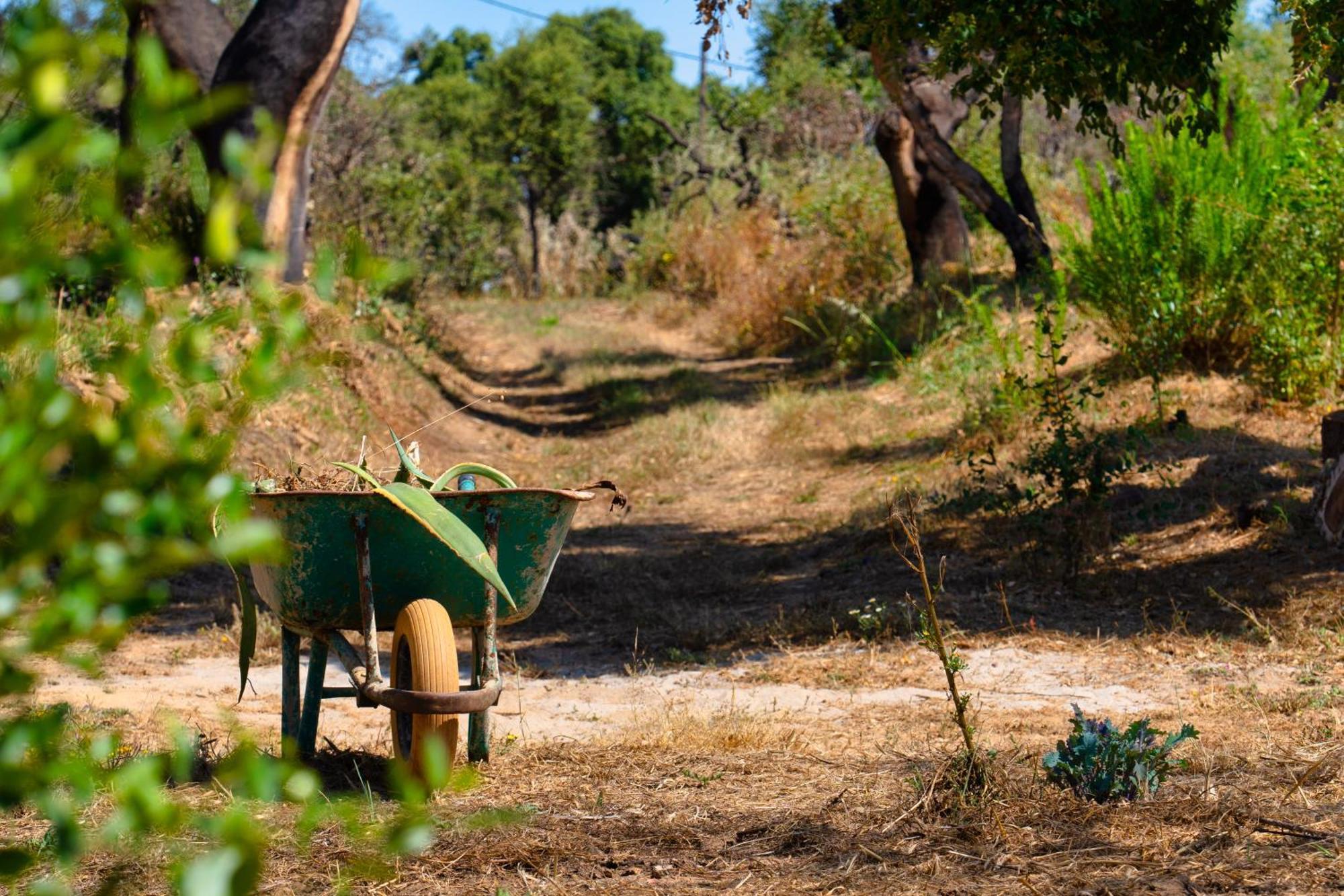 Choeiro Verde - Casa De Campo Na Costa Vicentina Brejao Экстерьер фото