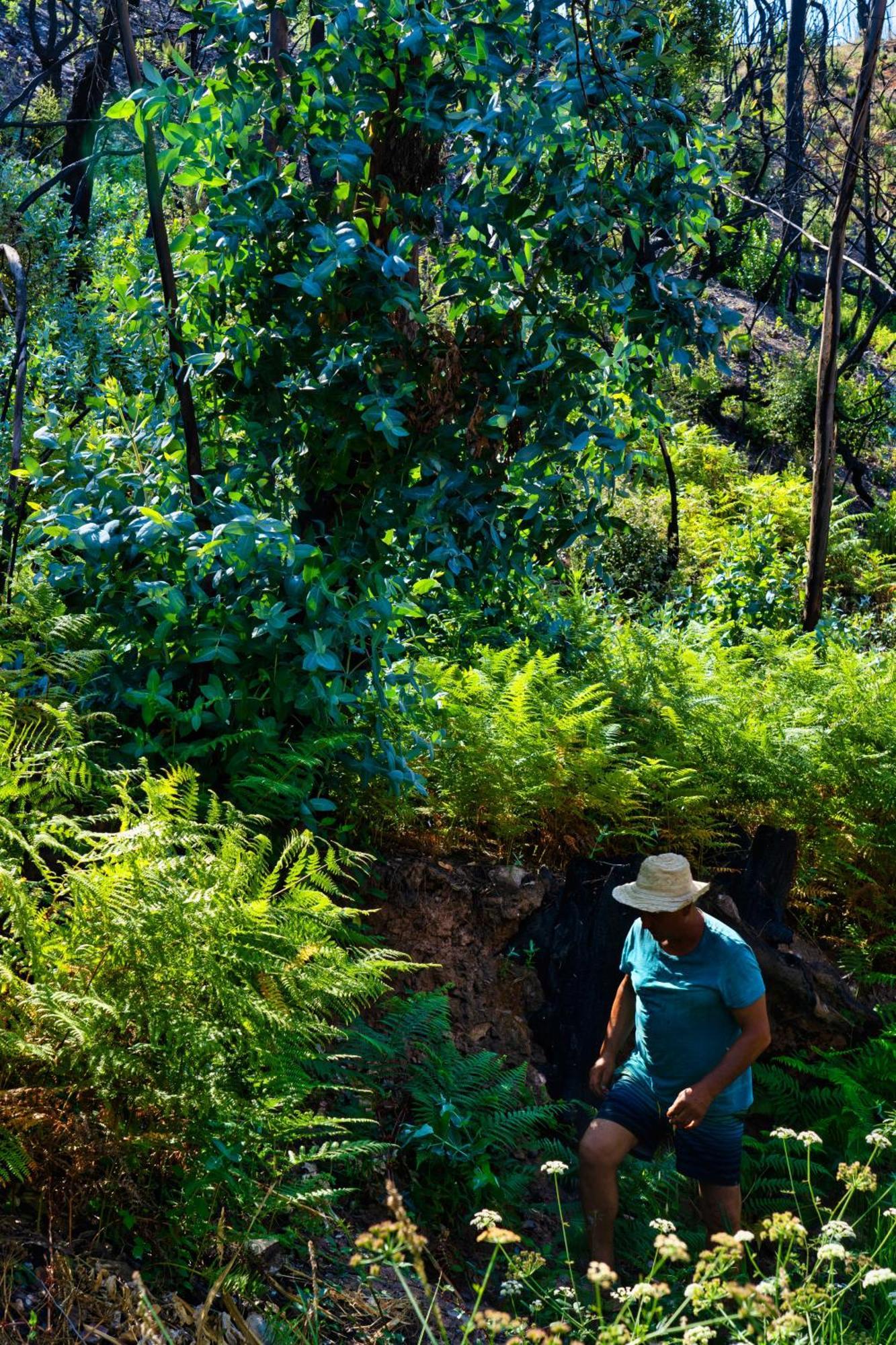 Choeiro Verde - Casa De Campo Na Costa Vicentina Brejao Экстерьер фото